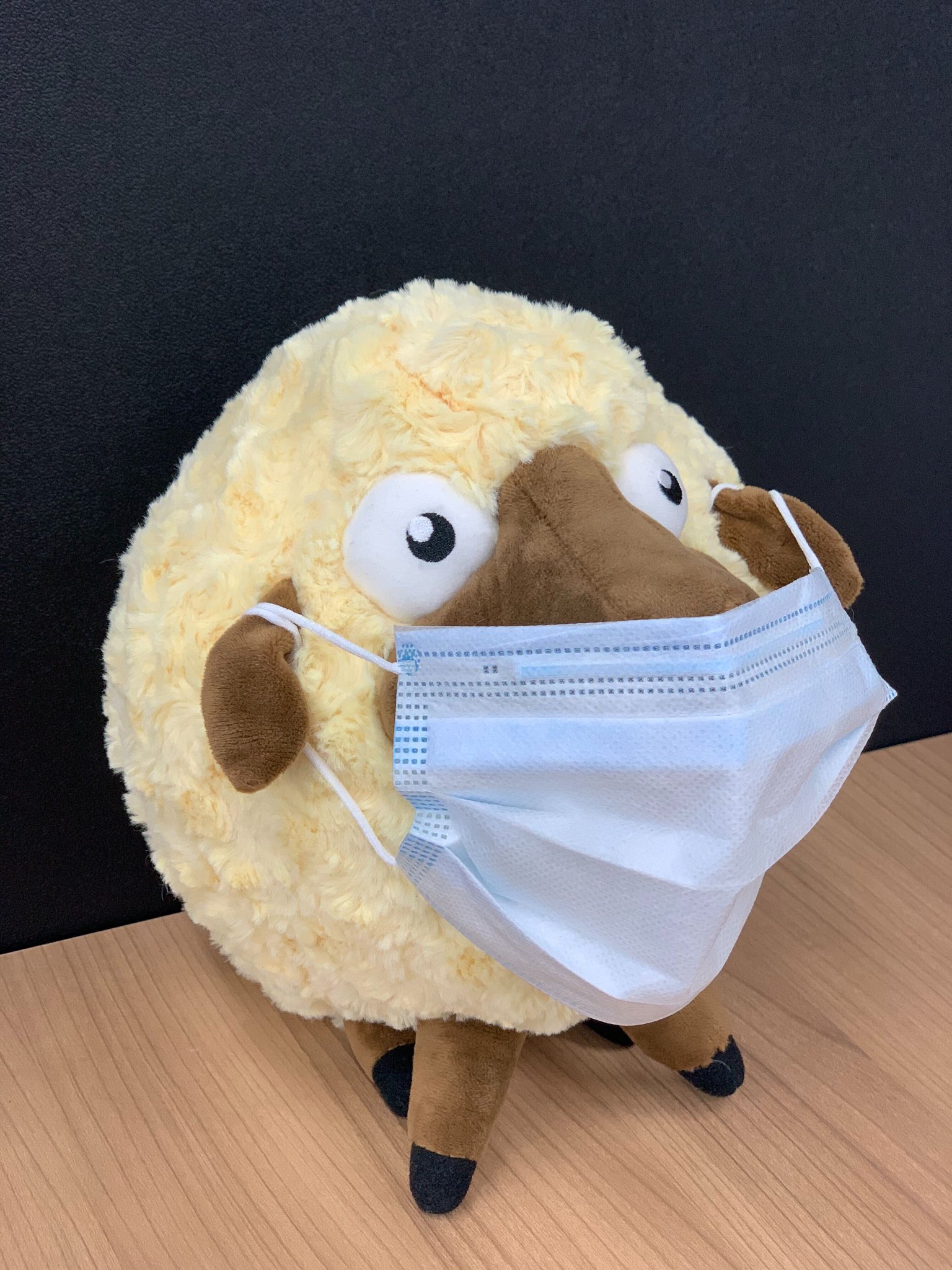 ヘイ デイ公式 Oo いやペット枠じゃないし ペットウェアでもないし ムチャぶり ヘイデイ ヘイ デイ公式 Oo いやペット枠じゃないし ペットウェアでもないし ムチャぶり ヘイデイ