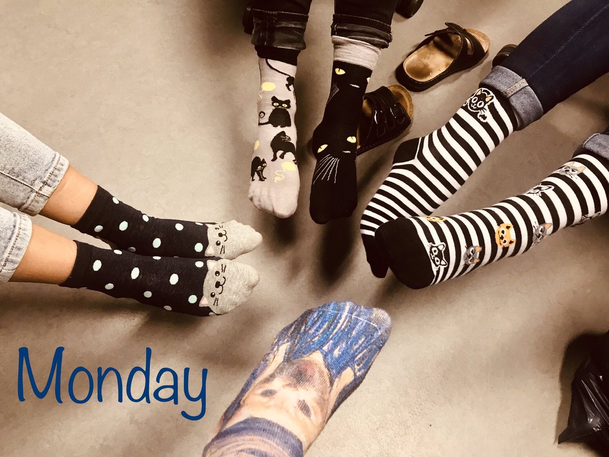 Marta Siborova tweet media