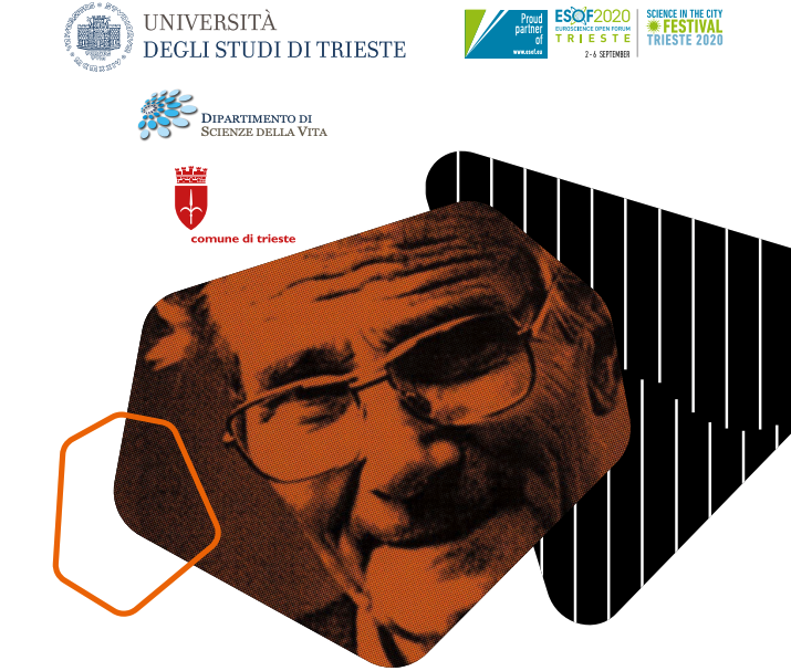 DiscoverTrieste's tweet photo. Al museo @revoltella da mercoledì #26agosto la mostra dedicata ai "Pùpoli di Gaetano Kanizsa", scienziato e artista
https://t.co/rXPfwtuEws

#DiscoverTrieste #MuseiTS #MostreTS @UniTrieste https://t.co/Ao7YbClVv4
