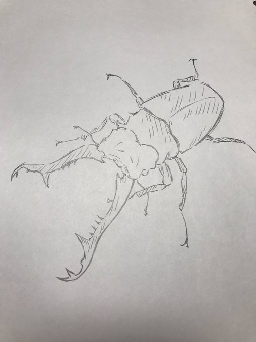 ギラファノコギリクワガタ 