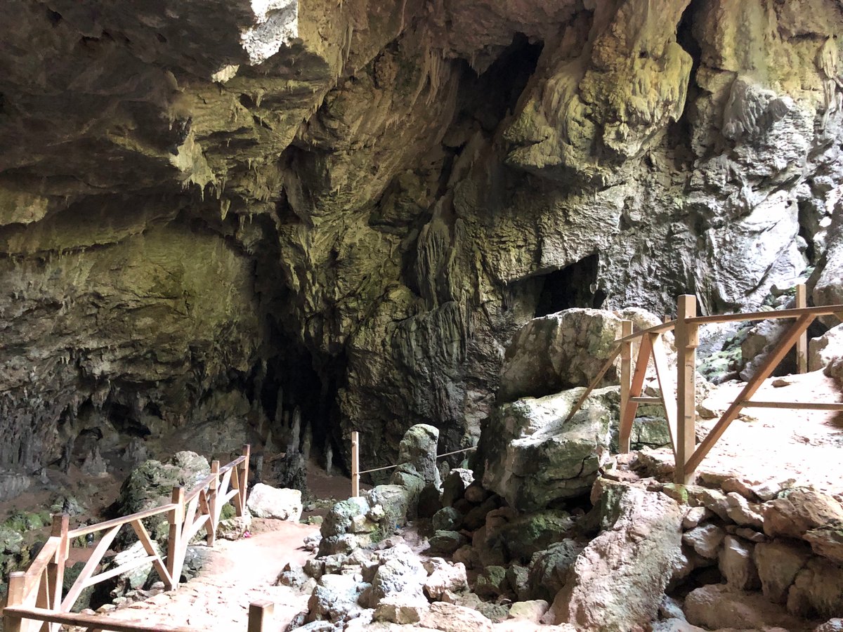 GezimK's tweet photo. #CennetAdasi #Adaköy #hiking #nature https://t.co/JtAG2jhOsM