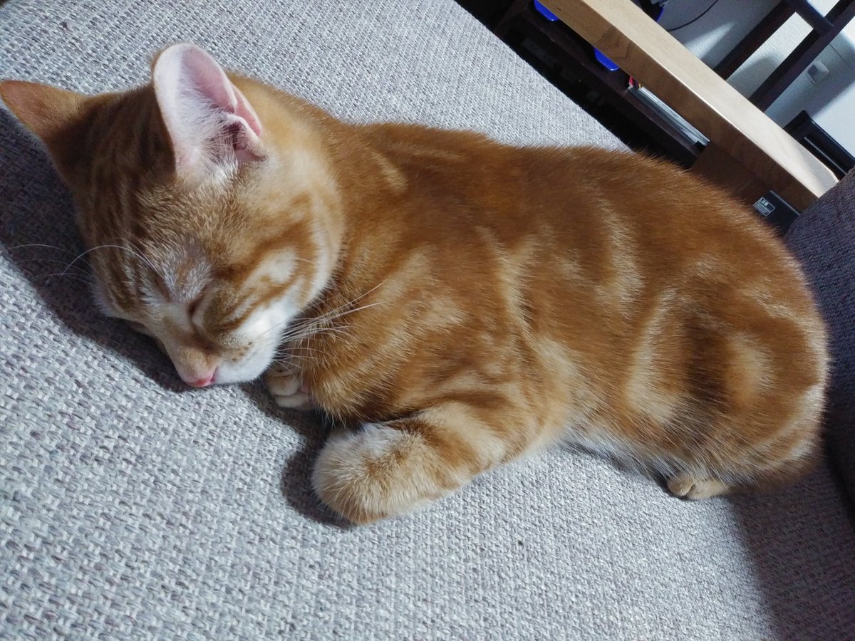 うつ伏せ
