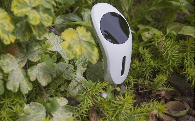Daily_Find's tweet image. Netro Whisperer #Wifi Solar Powered Plant Sensor - is.gd/728WH0 - #PlantSensor