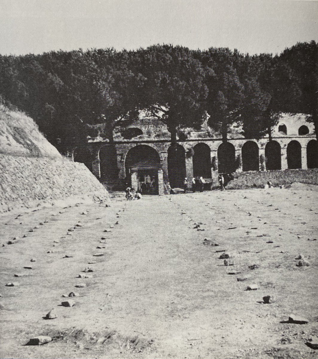 Columella, writing in the 1st century AD, recommends that pathways in vineyards help the labourers access the vines to repair the wooden stakes as well as facilitate the grape harvest. Jashemski found 4 wide pathways dividing the rows of vines.