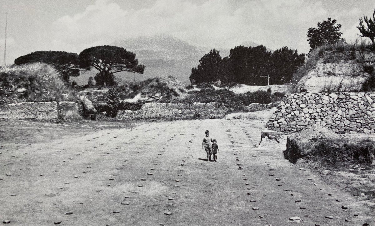 Columella, writing in the 1st century AD, recommends that pathways in vineyards help the labourers access the vines to repair the wooden stakes as well as facilitate the grape harvest. Jashemski found 4 wide pathways dividing the rows of vines.