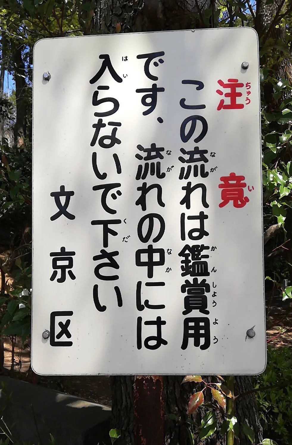 @VJPtruelize まさにこれ。
Ｆ外失m(*_ _)m 