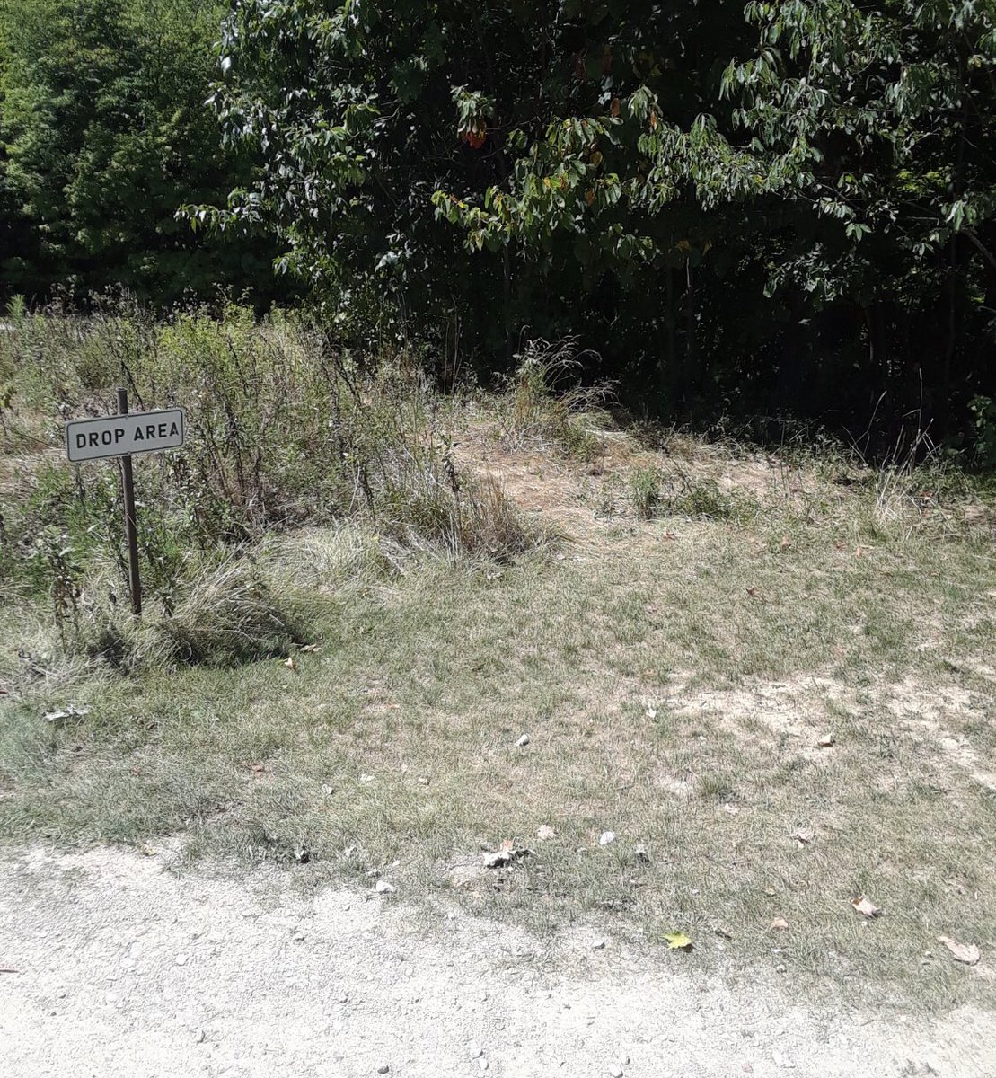 Miguel Vega tweet media