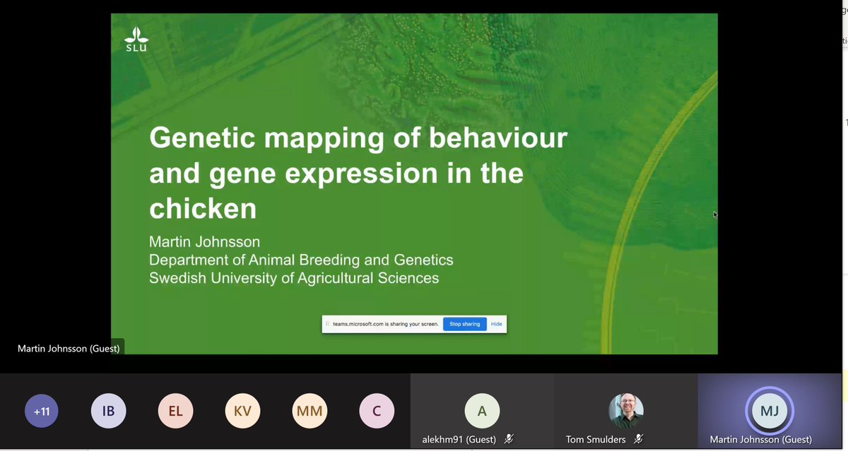Thank you Martin Johnsson @mrtnj for taking part in our virtual genomics and bioinformatics workshop today. A very nice introduction to this afternoons session on ggplot  
@BetterBreeding @ChickenStress @MSCActions
 #MSCA #H2020 #Genomics #Bioinformatics