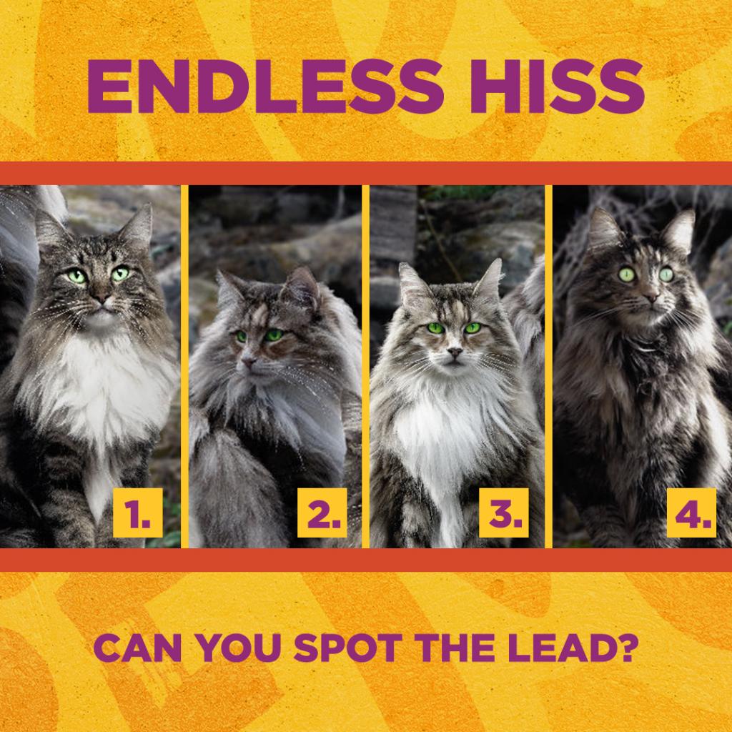 If you’re really the #1 fan of Endless Hiss, then it will be easy for you to spot Lord Purrdition. 🔍 🎤 #MeowReMix