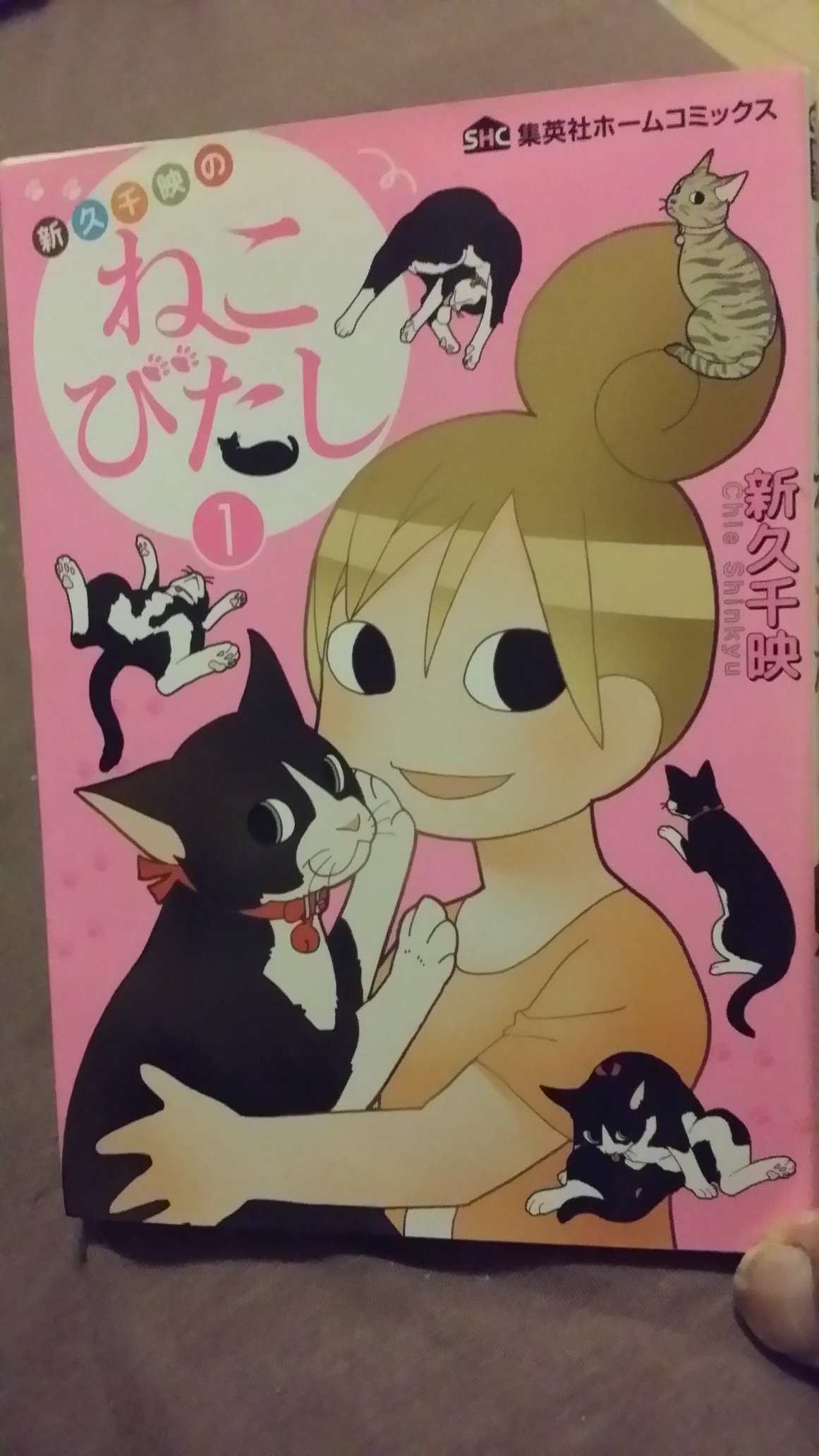 ねこびたし Twitter Search Twitter