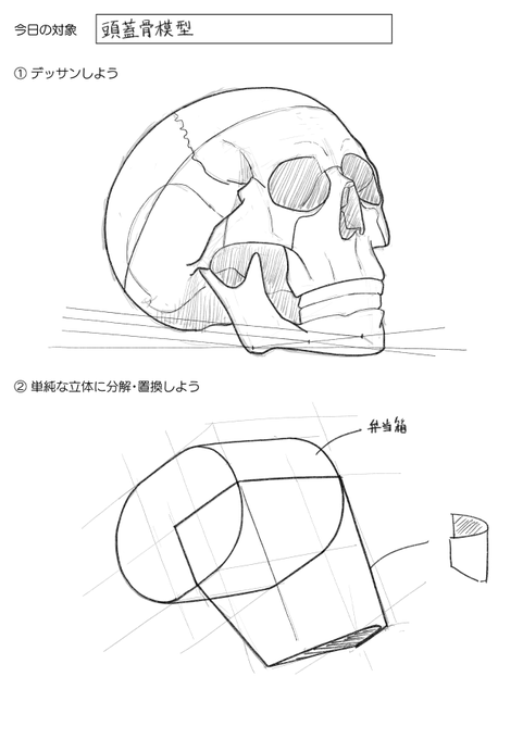 020 頭蓋骨模型 
