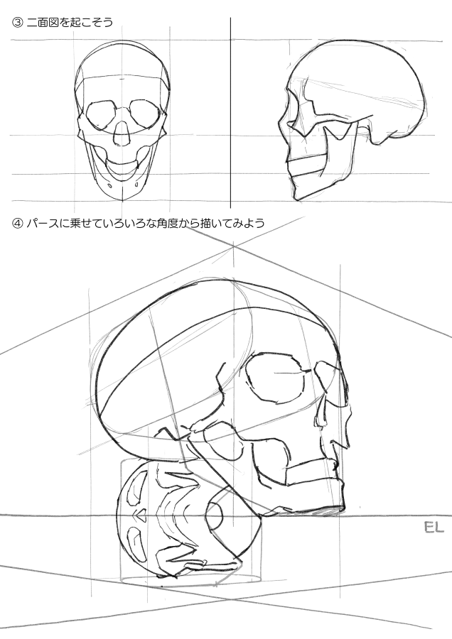 020 頭蓋骨模型 