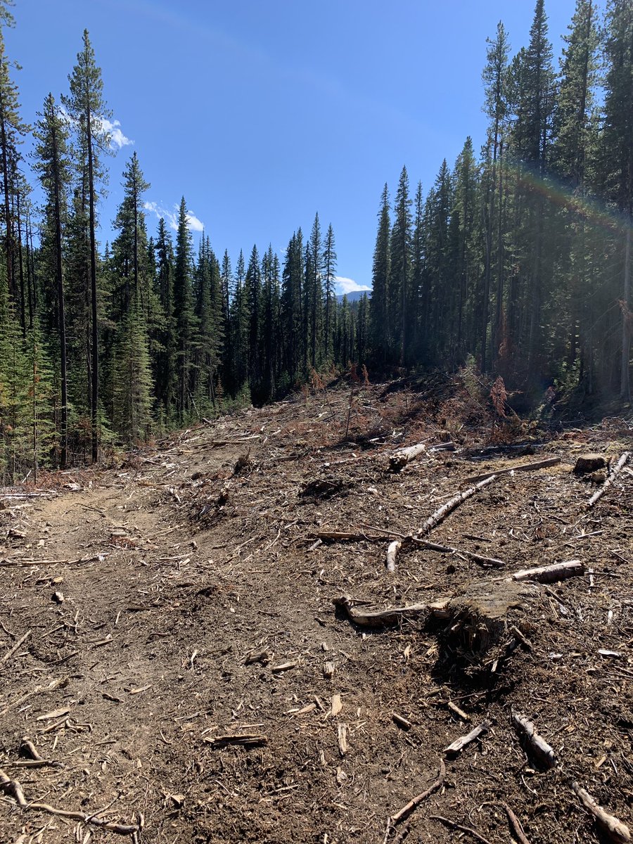 mjwagner306's tweet photo. @S_Bassing @levinson_parker This was a road on my map. Note to self: make your own map next time. #fieldworkfail #timetohike https://t.co/Ubw7Rn4bTp