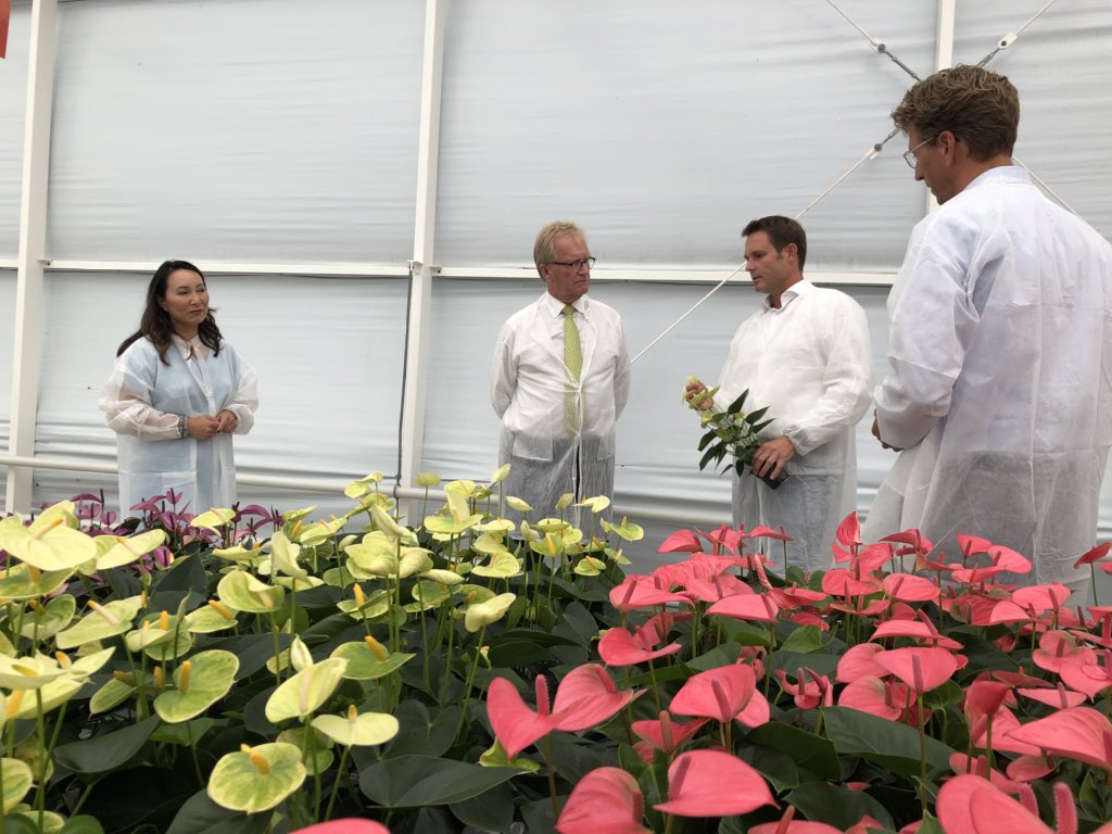 Hans de Boer, scheidend vz <a href="/vnoncw/">VNO-NCW</a> neemt afscheid van ondernemers in de regio bij <a href="/AnthuraBV/">Anthura</a>