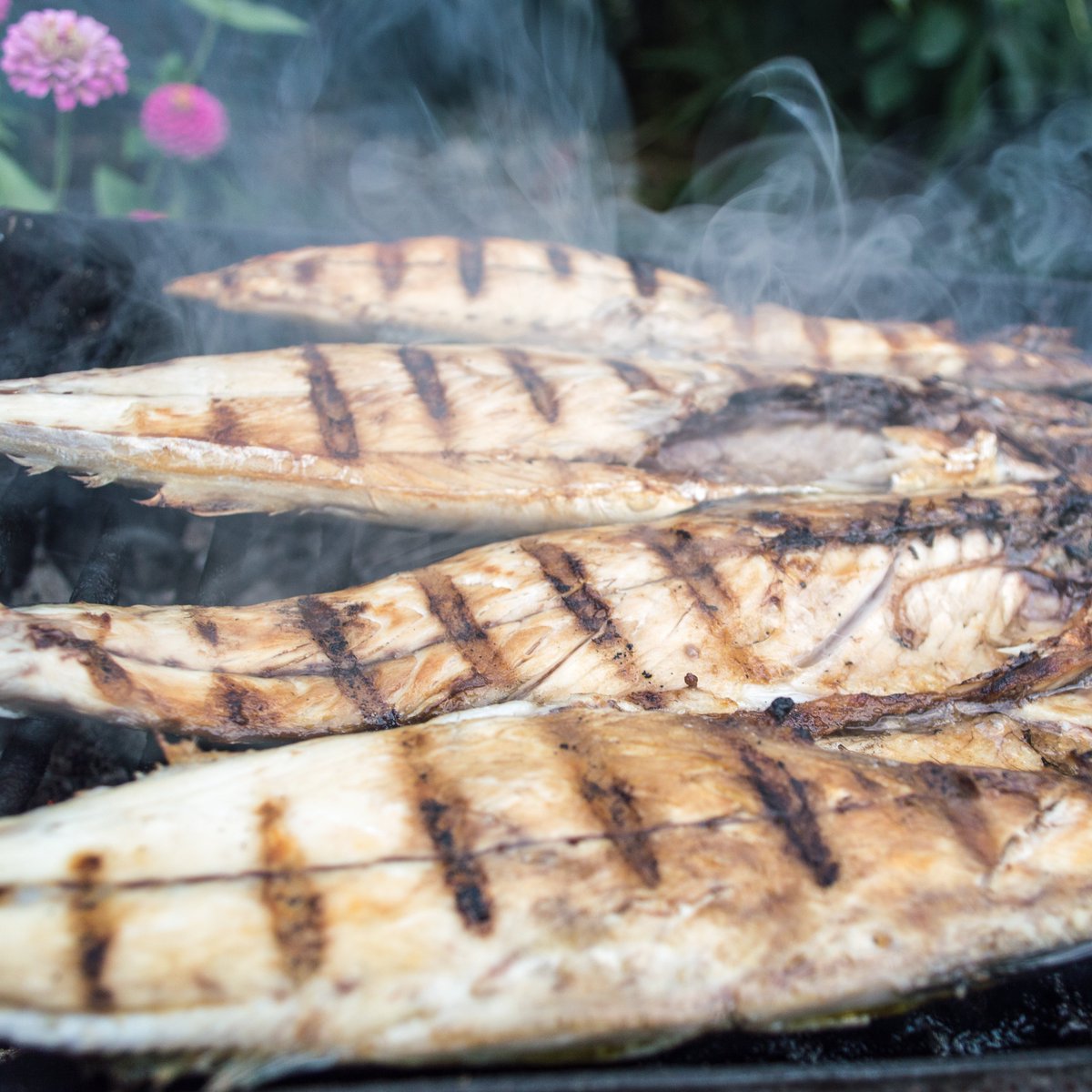 When it comes to mackerel it’s fresher the better. They are being caught around Kent now, local fishers are working hard to get it to you in the best condition possible. No BBQ planned but some grilled mackerel is sure to  brighten your day #ThinkFresh #ShopSmart #FishLocalGB