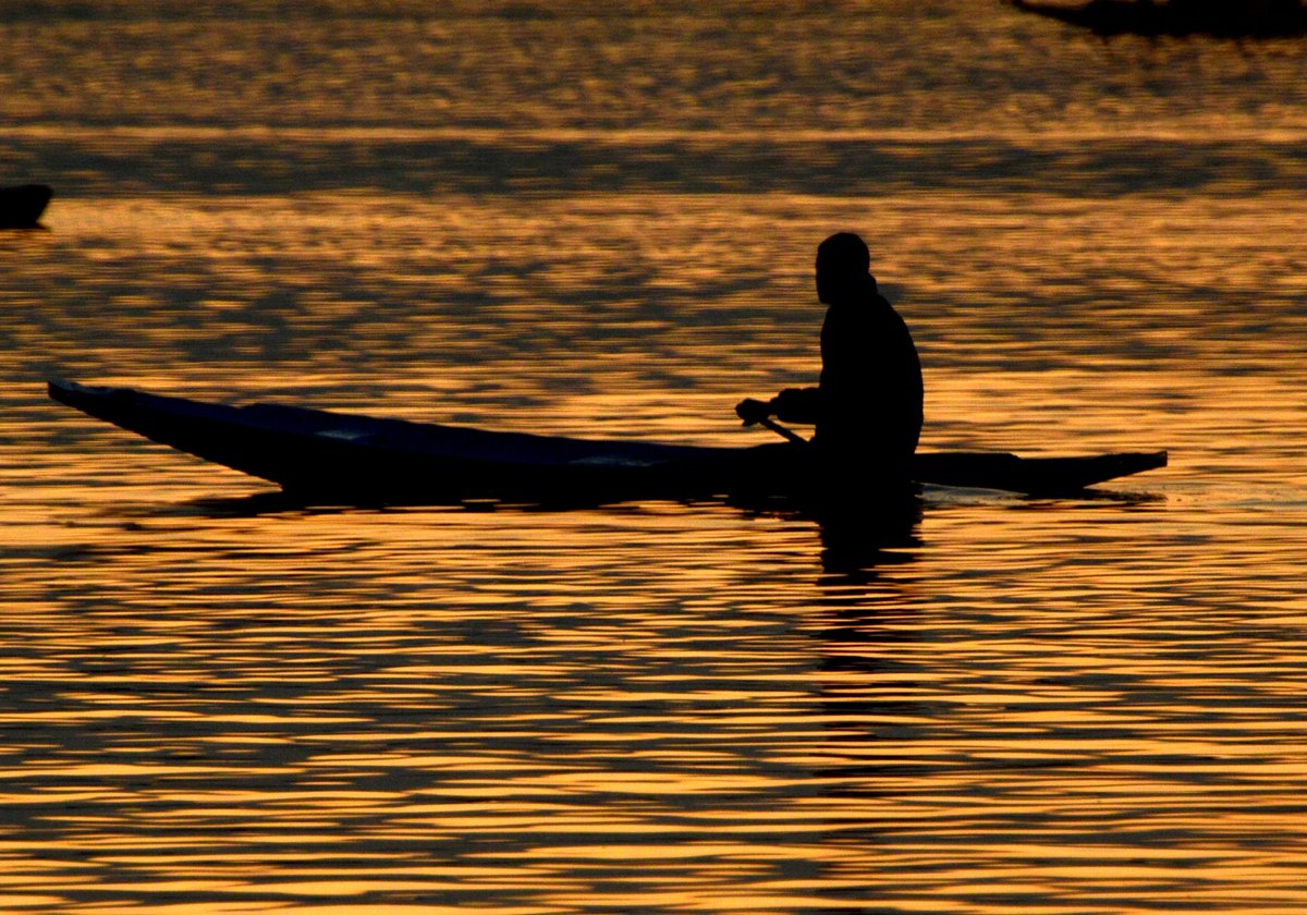 A boatman rows his boat during sunset on Dal Lake in Srinagar city, the summer capital of India-Kashmir, Aug. 25, 2020. @sajadhameedpj
#sunsets_captures #lake #dallakesunset #dallakesrinagar #dallakeshikara #kashmirtourismofficial #kashmir_legacy #lovingkashmirr #colourofindia
