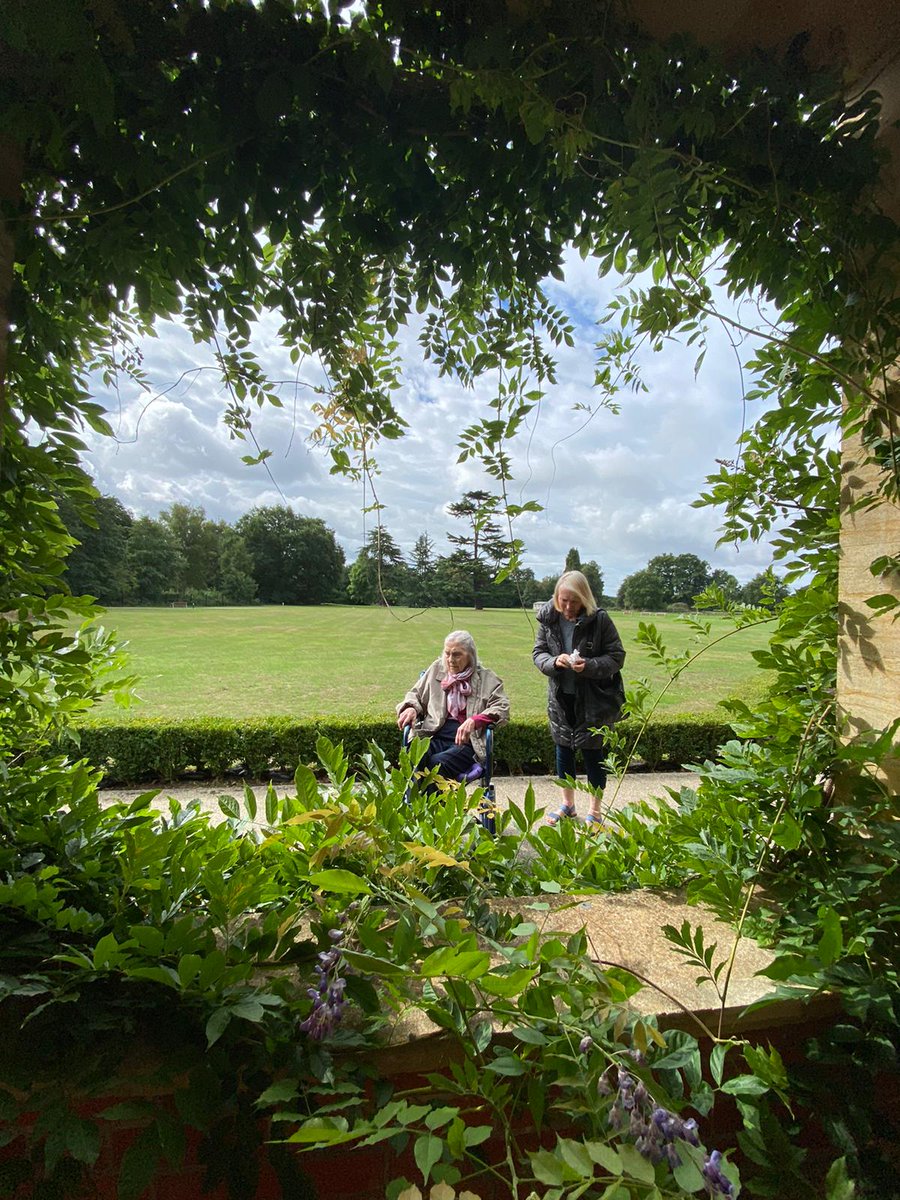 WestHallSurrey's tweet photo. When a photo speaks a thousand words, #BirchLodge. #throughtheframe #plantwindow #TuesdayThoughts https://t.co/74344850ZU