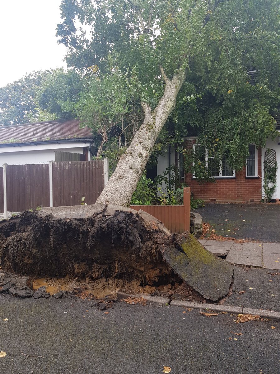 B15RNA's tweet photo. @birmingham_live just landed on my house in moseley. All safe https://t.co/PnptfHnxOh