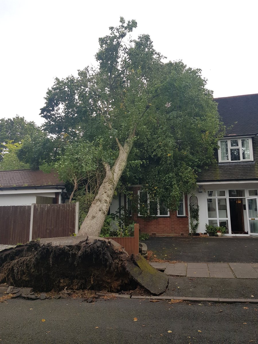 B15RNA's tweet photo. @birmingham_live just landed on my house in moseley. All safe https://t.co/PnptfHnxOh