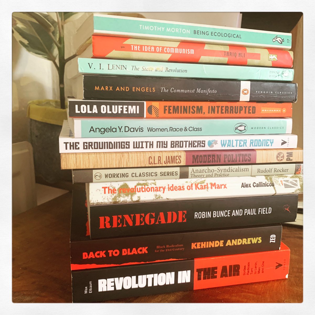 nickprolix's tweet photo. The books I was reading during lockdown #marxandengels #walterrodney #clrjames #angeladavis #tariqali #lenin #timothymorton #rudolfrocker #kehindeandrews #alexcallinicos #maxelbaum #lolaolufemi #bunceandfield https://t.co/k0HdZYdPwJ