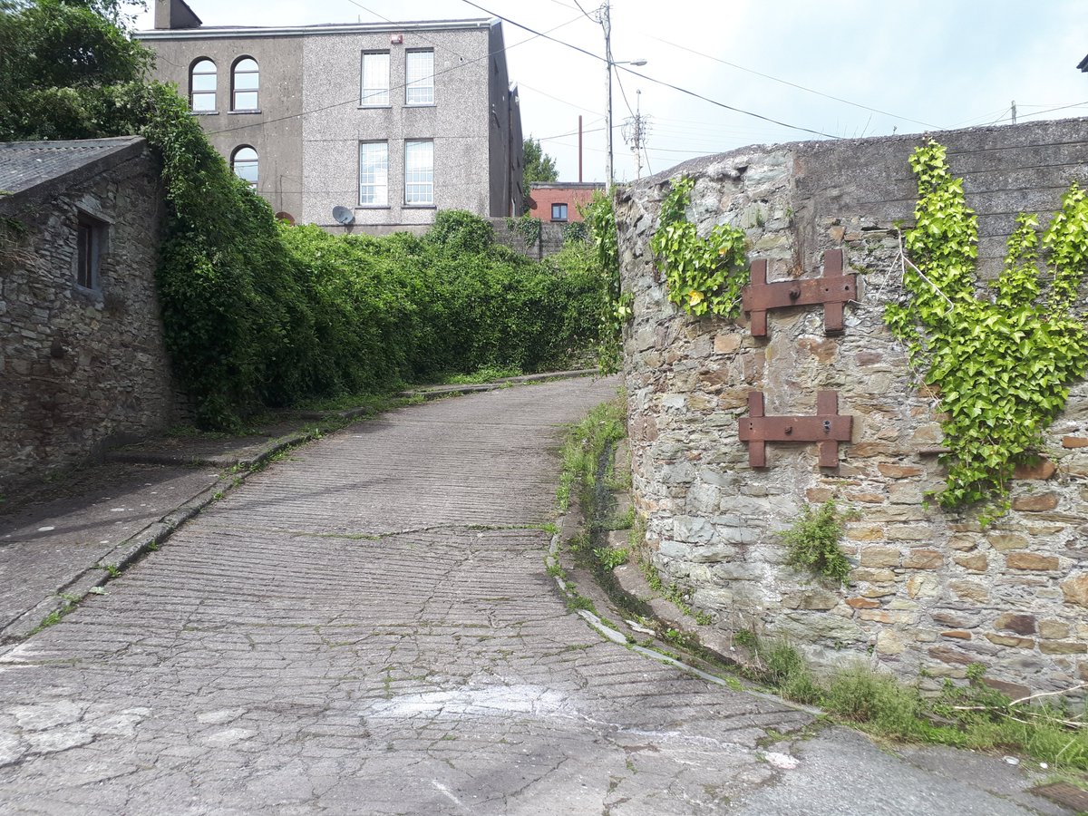 CorkGuide's tweet photo. Dear Lord Mayor, Montenotte Road needs your urgent attention please. There has been no activity by Cork City Council this past 12 months, despite recent requests by residents. The elderly can barely navigate the pavements. Looking forward to your response. @corkcitycouncil #Cork https://t.co/Jm5xPkjfUJ