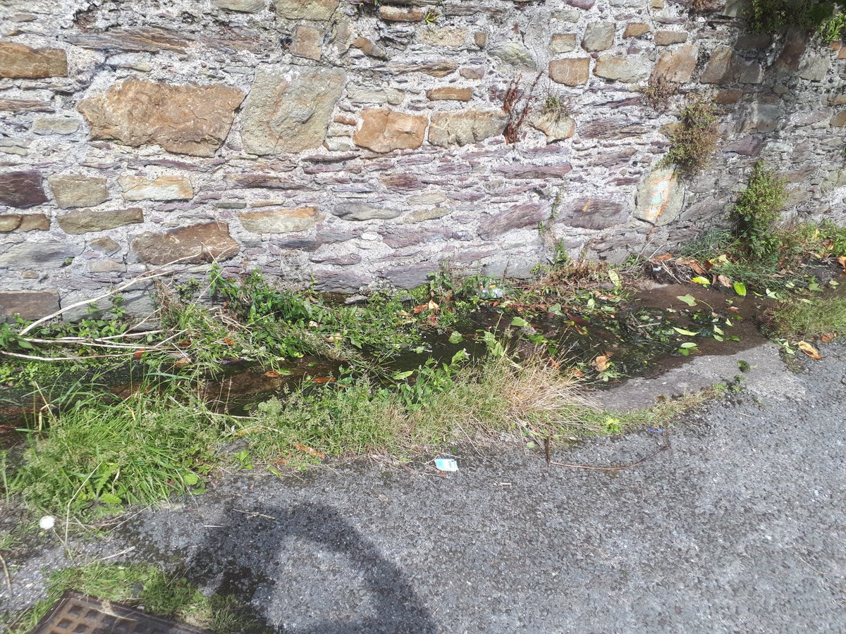 Dear Lord Mayor, Montenotte Road needs your urgent attention please. There has been no activity by Cork City Council this past 12 months, despite recent requests by residents. The elderly can barely navigate the pavements. Looking forward to your response. <a href="/corkcitycouncil/">Cork City Council</a> #Cork