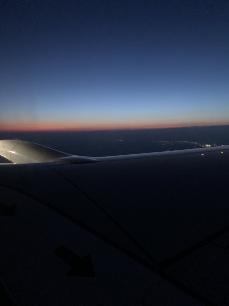 WonderTailsTransport tweet media