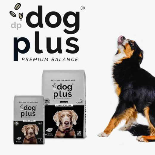 atorresriobo's tweet photo. Una amiga está Sin Pega y debe Mantener Familia, x lo que está Vendiendo Alimentos para los Integrantes Peludos de la Familia en #Osorno, ahí les dejo dato de Contacto y caracteristicas del #DogPlus https://t.co/IvdB7zKaPW