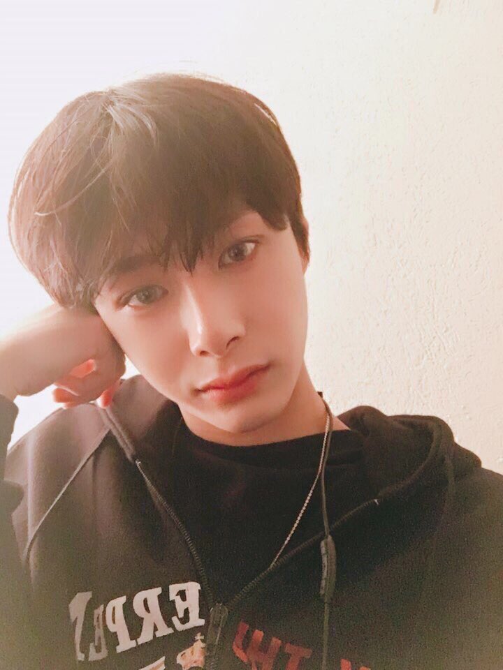 A thread of hyungwon being     the biggest boyfriend material