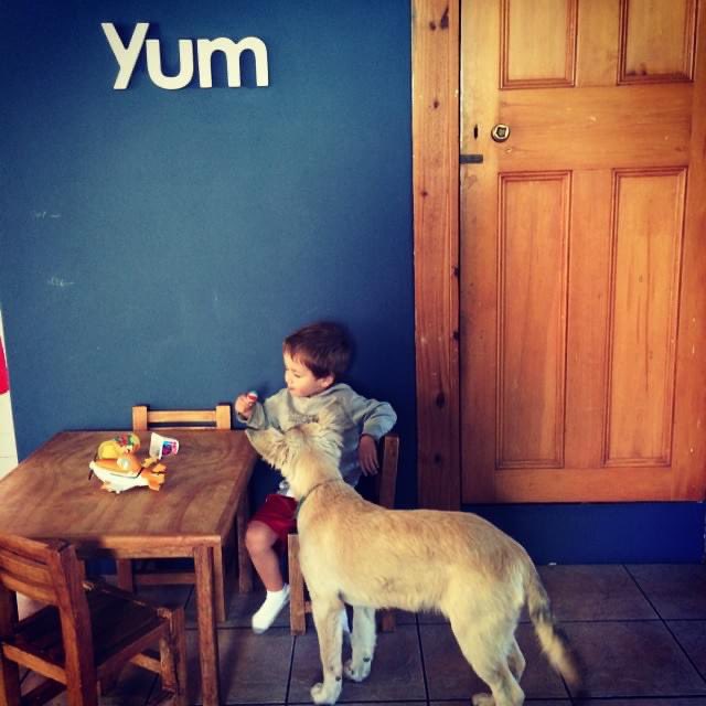 Leanne de Bassompierre tweet media