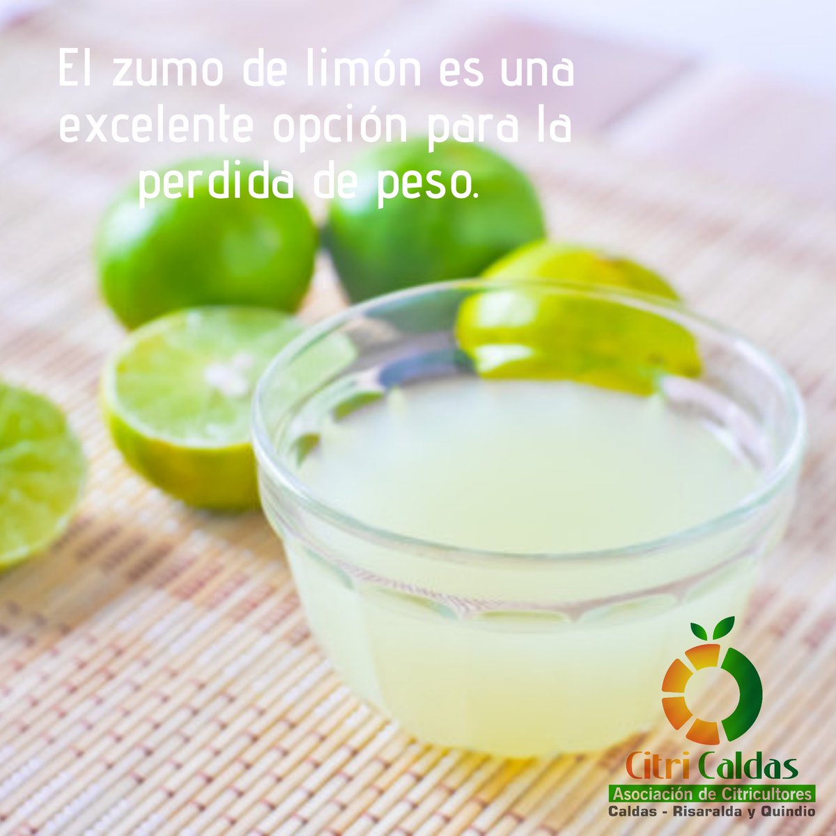 Citricaldas's tweet photo. ¿Sabias que el zumo de limón es un digestivo y depurativo del hígado?

#citricaldas #citricosdecolombia #agrocolombiano #comprolocal https://t.co/l4Xt1bF34p