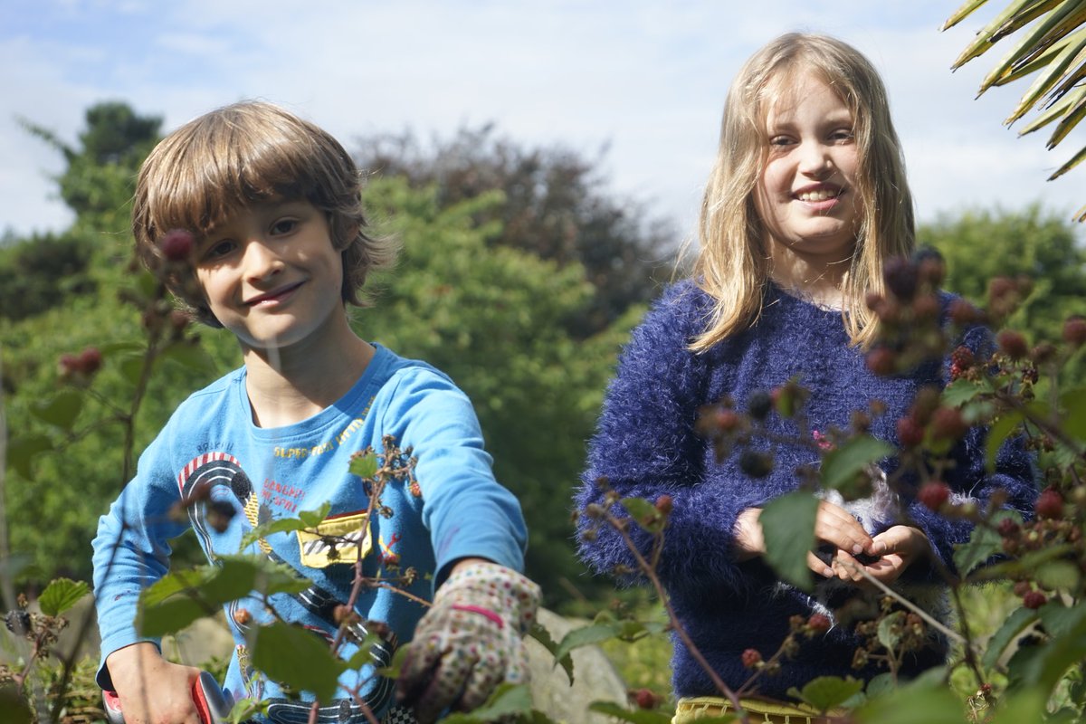 Friends of York Cem tweet media
