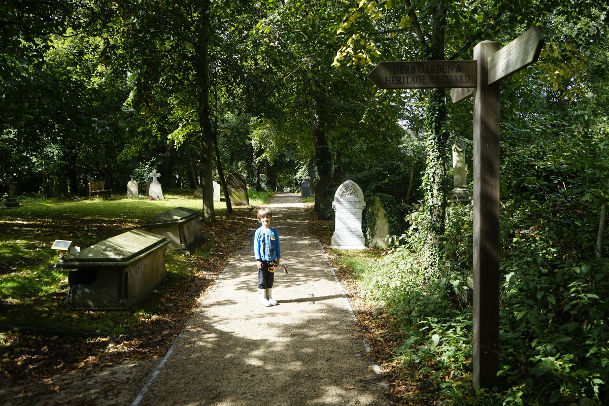 For our family, York cemetery is a place where the kids experience the outdoors safely. Supervised of course! Incidentally (!) a great wild spot for blackberries  #helpyourselfbutleaveadonation <a href="/30DaysWild/">#30DaysWild from The Wildlife Trusts</a>