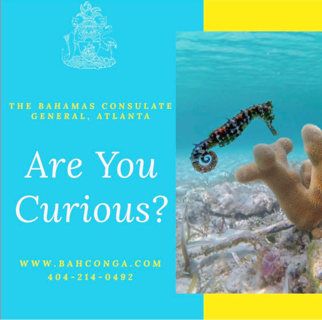 Help us, help you! If you are a Bahamian or know a Bahamian living in the U.S., we encourage you to reach out with questions! Feel free to contact us (414) 214-0492!