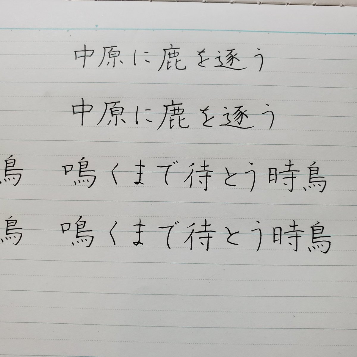 はな W Vana12 8月8日 18日目 ことわざで美文字p79 28 練習帳 11日目