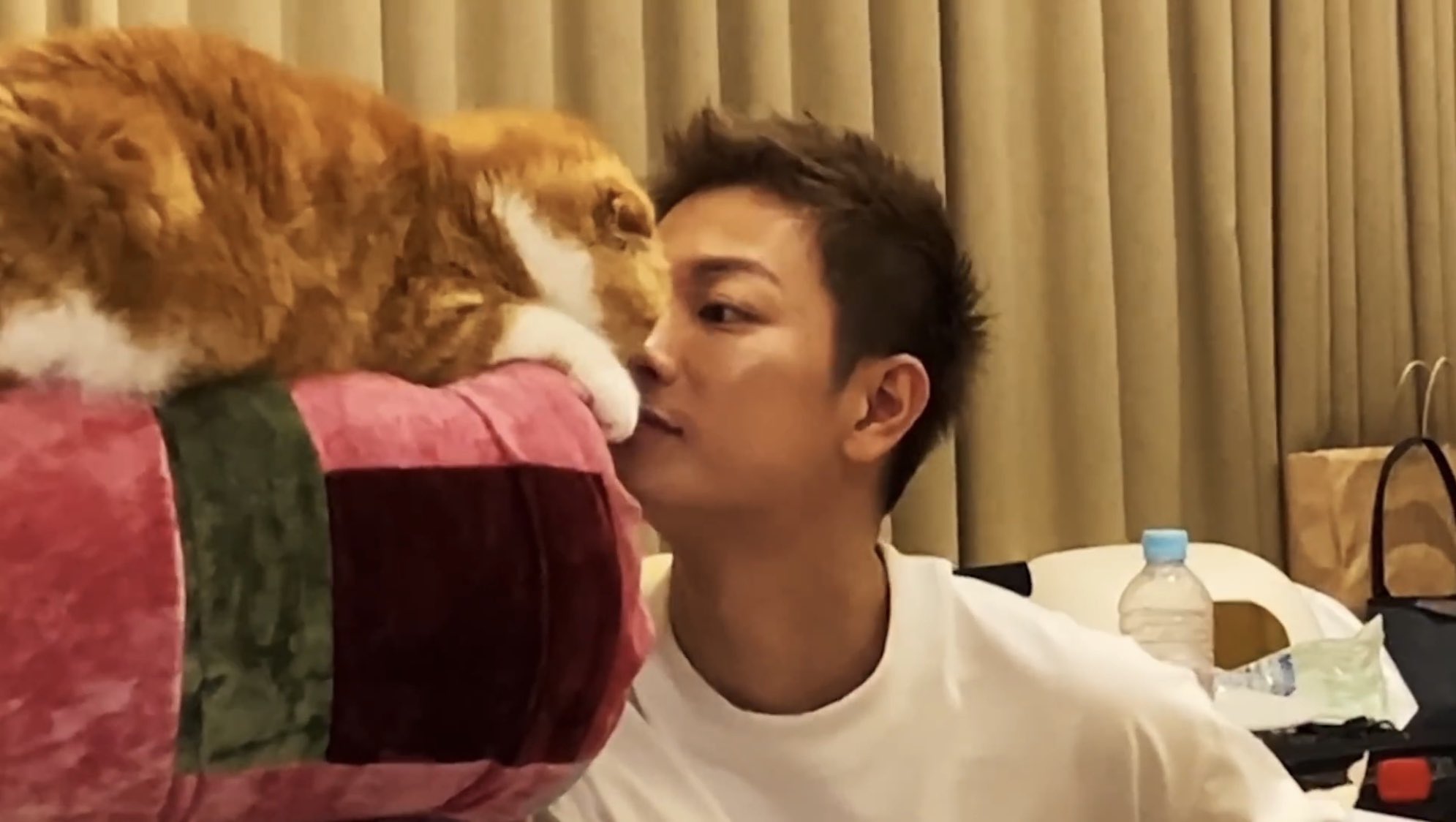 まぅ Takeru Hikakin まるお もふこに猫のお城をプレゼントしました T Co R0w4m9rjh6 Youtubeより ただただ健くんの猫好きが伝わり 可愛く感じて仕方なかった 猫より健くんが可愛いよ 佐藤健 佐藤健youtube T Co