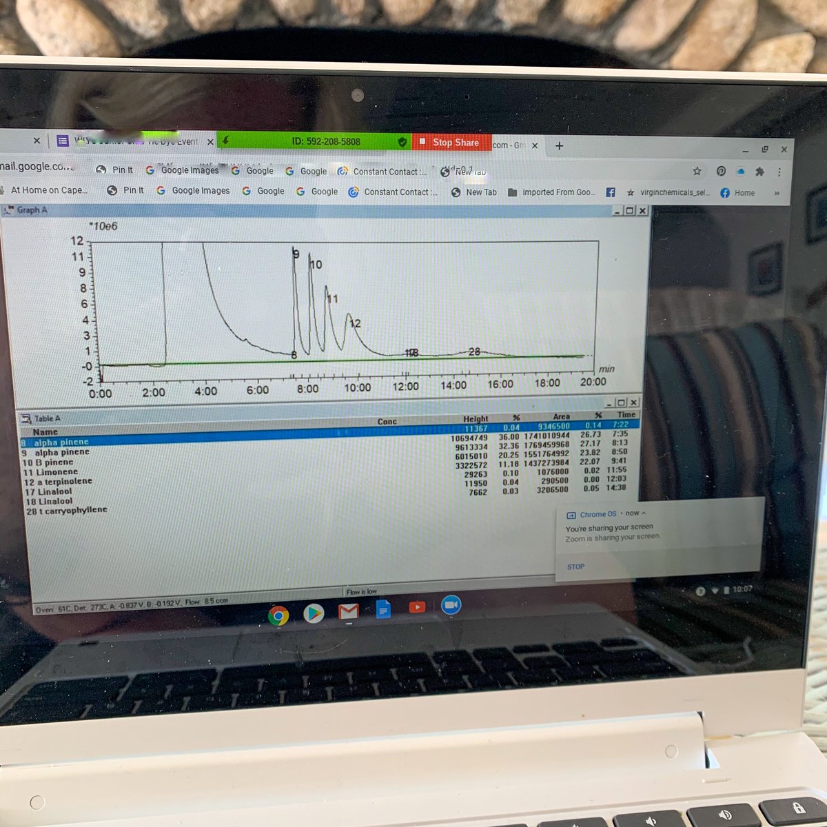 pidgirl's tweet photo. The kind of Zoom meeting I’m on this morning: ‘Terp profile’ discussion of 9 component standard analysis by our GC/PID. #RealTimeChem #gaschromatography #peakworks #photoionization #labgc https://t.co/rXkgiG4udw
