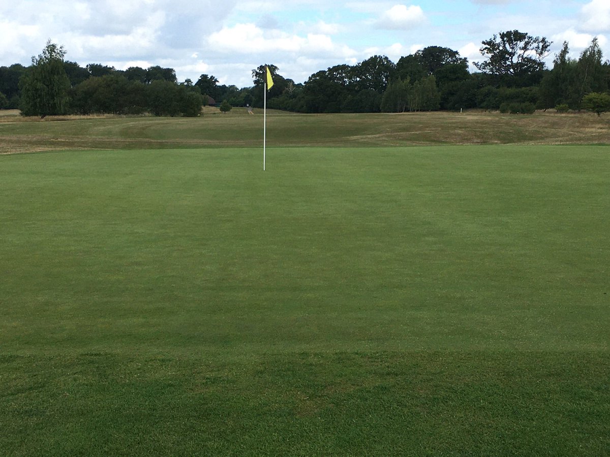 Greens back to their best after maintenance week, fast and true just how we like them. Book now golf.sherfieldoaksgolf.co.uk/visitorbooking                         #greenfee #36holes #buggyhire #drinksbuggy
