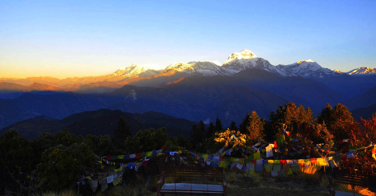 educatedguide's tweet image. Annapurna Base Camp Trek - 12 Days 
himalayaguidenepal.com/annapurna-base…