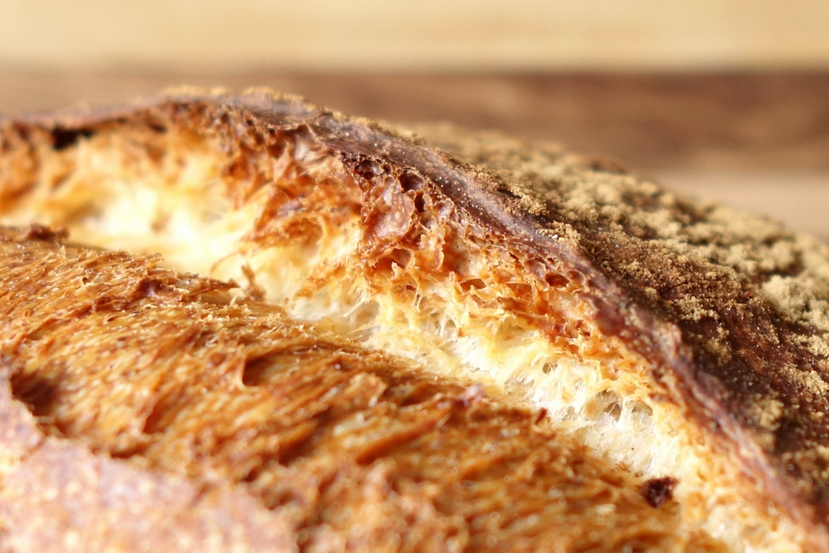 RealBread's tweet image. Everyone is invited to the #sourdough #Breadchat on 2 #SourdoughSeptember via Zoom. Sign up and add your questions TODAY! Experts inc. #RealBread Campaign ambassadors @dillyboase @BreadBakerDani @MortalGreenWhim &amp;amp; @jejusbakehouse eventbrite.co.uk/e/bread-chat-s… #bread #baking