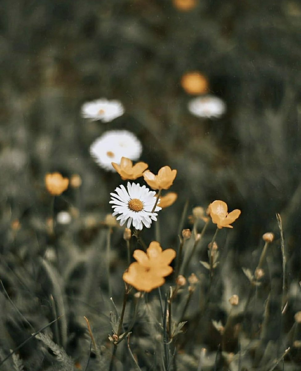 barsh45's tweet image. اللَّهُمَّ إِنِّي أعُوذُبِكَ مِن عَذَابِ
جَهَنَّمَ وَعَداَبِ القَبْر

اللَّهُمَّ إِنِّي أعُوذُبِكَ مِن عَذَابِ
جَهَنَّمَ وَعَداَبِ القَبْر