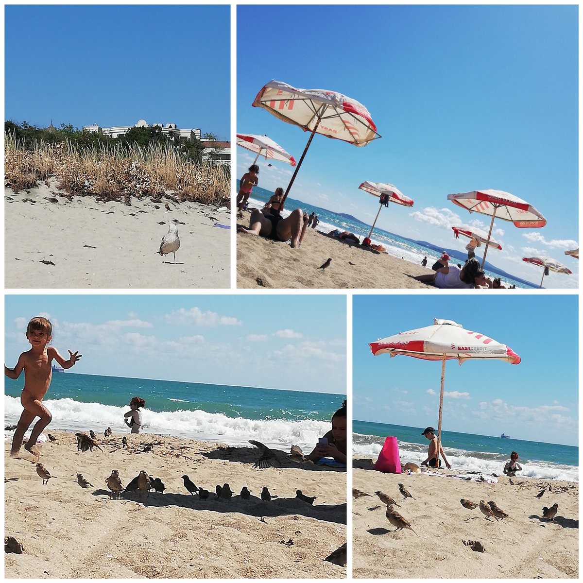 My 💙 - my #hometown, <a href="/Burgas/">Burgas</a>!
Lovelt day at the #beach today!
🌊💦⛱️🌞😎💙