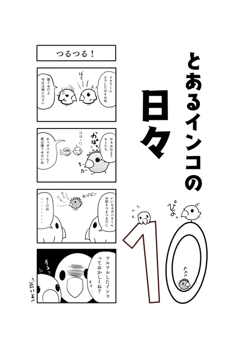 とあるインコの日々 10話と11話

#四コマ  #インコ #絵描きさんと繫がりたい 