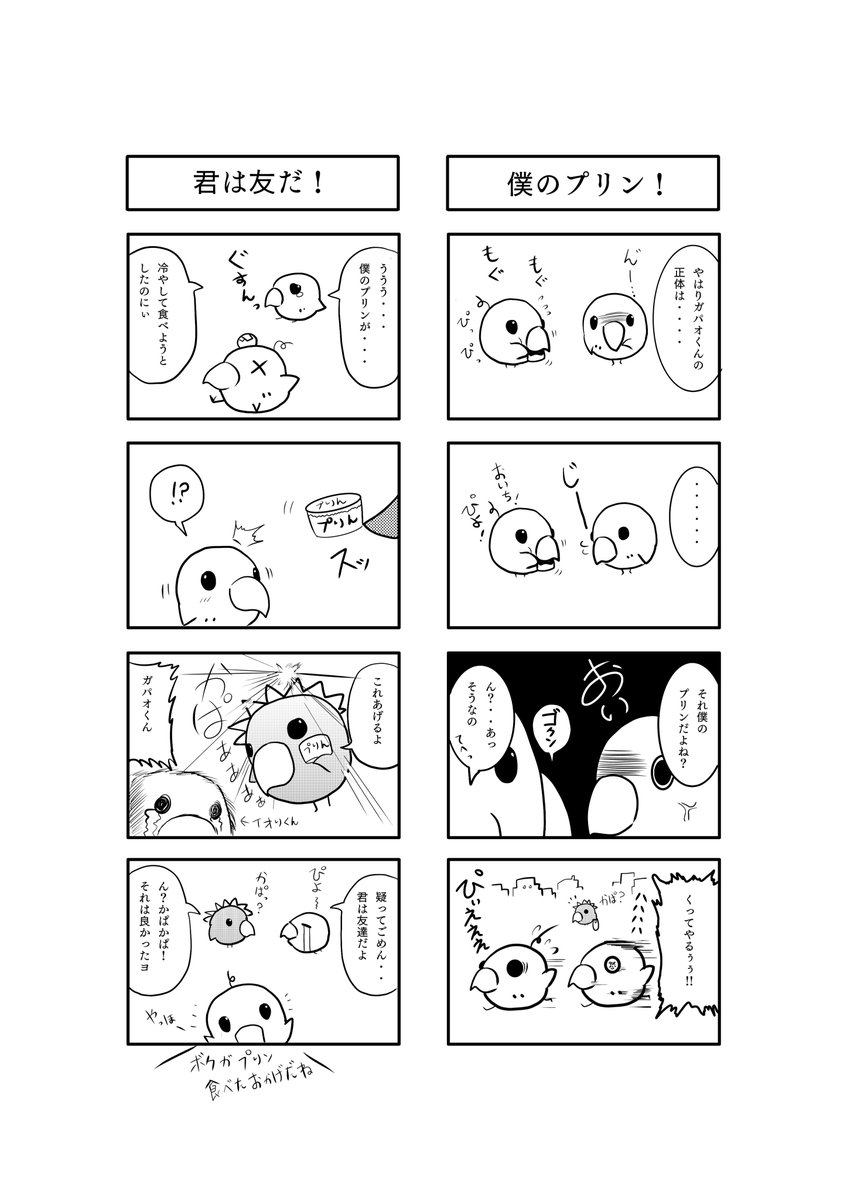 とあるインコの日々 10話と11話

#四コマ  #インコ #絵描きさんと繫がりたい 