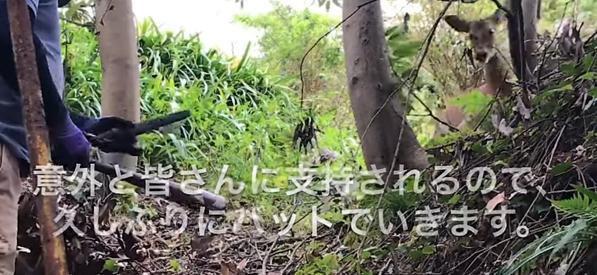 この人の動画に心を痛め多くの人に知ってほしいという声が届きました。
山は監視カメラがない密室空間。動物がどこで誰に何をされているのかわからない。人の心も傷つけているけれど、何より合法。
人間が色々な面で野生動物を苦しめている事を、皆さん知って下さい

閲覧注意
youtu.be/mHzRskTNuUI