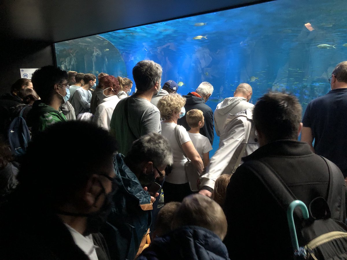 sandro_manzo's tweet photo. @PlaneteNAUSICAA , vous êtes sérieux ? Aucune régulation de foule, aucun respect des distanciations sociales et un monde de dingue. La direction a visiblement davantage les yeux rivés sur la caisse que sur la sécurité des visiteurs. Fuyez. #COVID19france #covid19 https://t.co/eBH8AlDNSx
