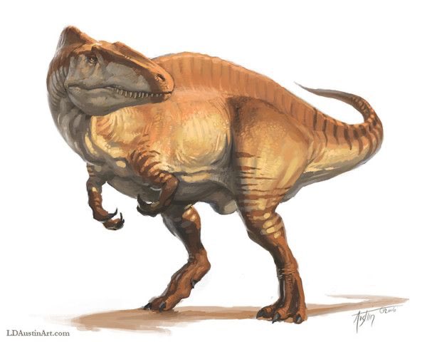 As the name suggests, it is best known for the high neural spines on its vertebrae, which most likely supported a ridge of muscle over the animal's neck, back, and hips. Artwork by L. D. Austin.