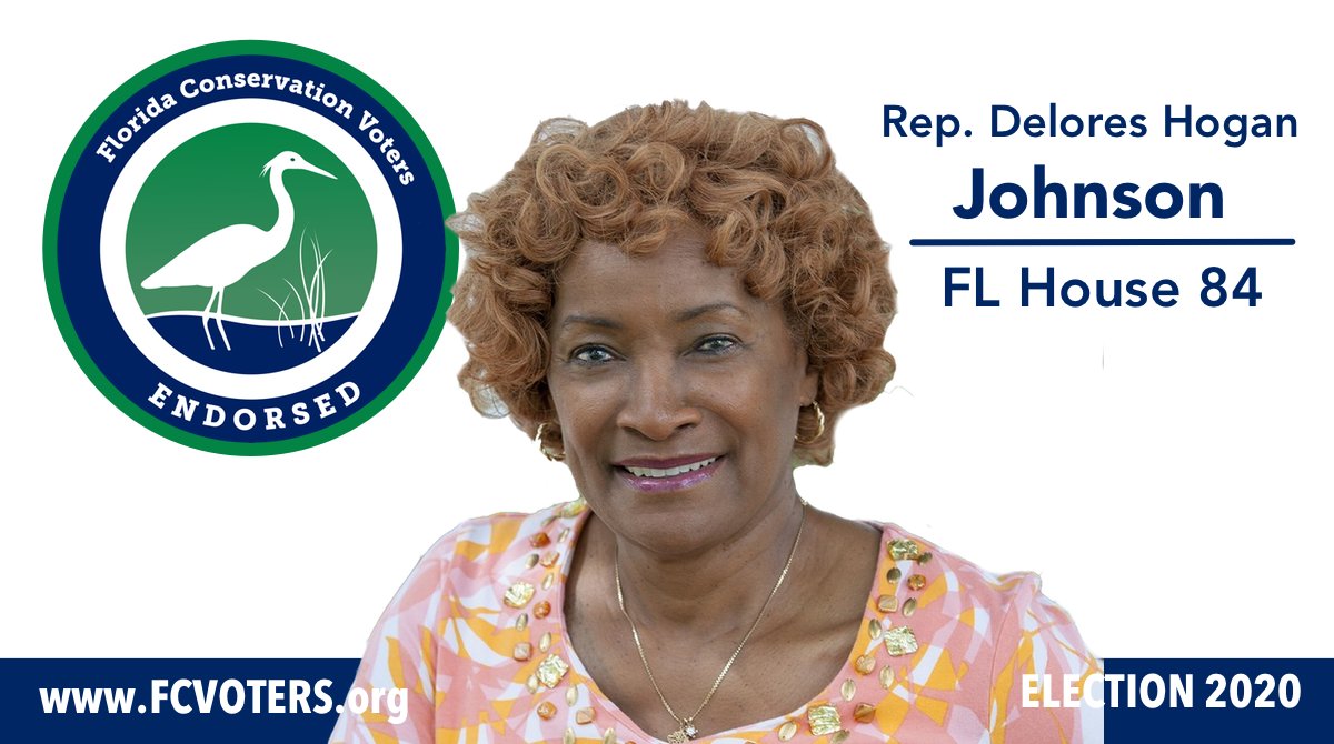 Rep. <a href="/delores_fl/">Delores Johnson, FL HD 84</a>  is an environmental champion in the Florida House. Her experience as an educator makes Rep. Hogan Johnson well-suited for her work in the legislature, especially as it relates to protecting our water and public lands.