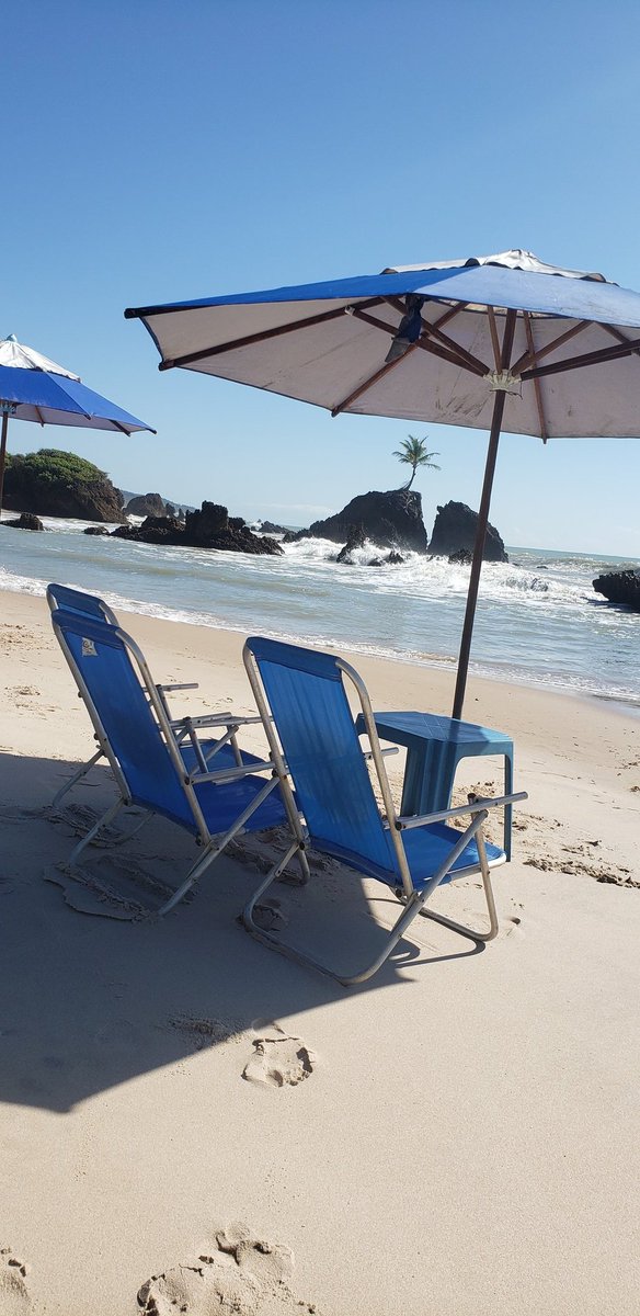 MassagemMarcos's tweet photo. Tambaba beach is one of the nude beach in Brazil, located near the capital of Paraiba state. It's a paradise of freedom and nature. +55 8396166726 Marcos, if you come. https://t.co/oUwRHzOq9e