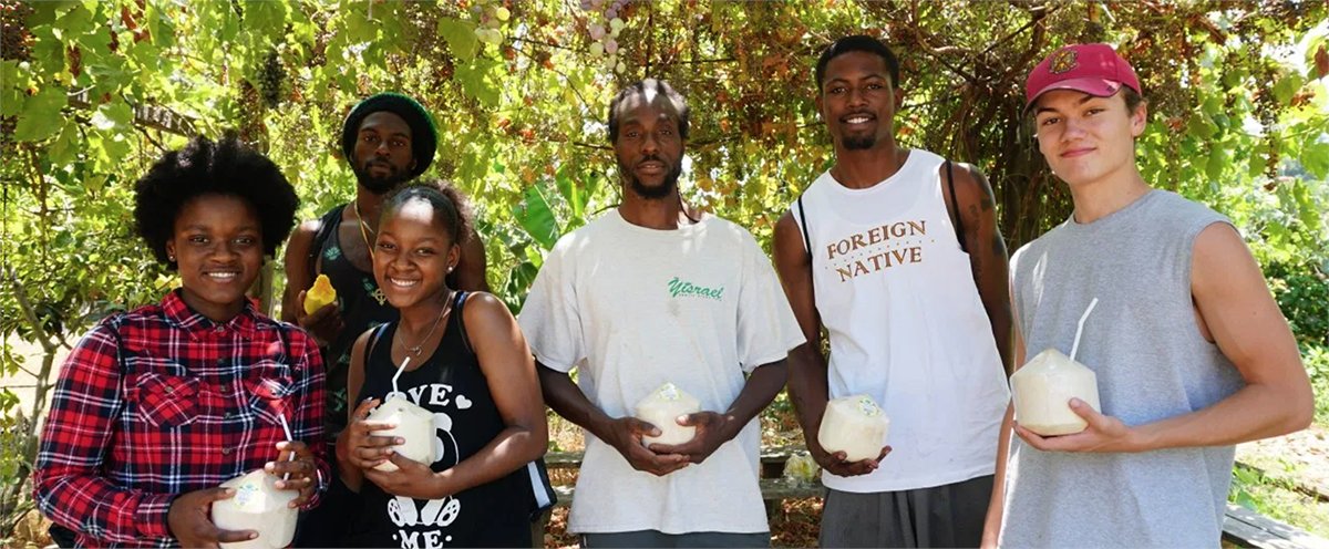 Throughout the pandemic, <a href="/YisraelFarm/">Yisrael Farms</a>  has been partnering with other Black farmers to increasing access to local, organic food for communities most impacted by COVID-19. Support their efforts by helping fund (GAP)-certified produce washing station. bit.ly/2Qnf0Zl